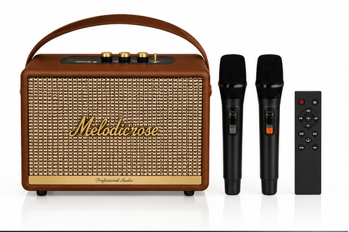 Portable Karaoke Bluetooth Speaker with Dual Microphones (Model: YXFA-004)