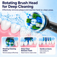 Rotating Electric Toothbrush EYS024 Features