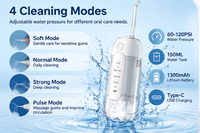 Portable Water Flosser KQHL-001 4 Cleaning Modes (Soft, Normal, Strong, Pulse)