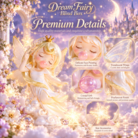 Dream Fairy Mystery Box Packaging