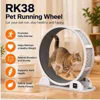 Pet Exercise Running Wheel with Distance Display (PBJ010) - product image 2