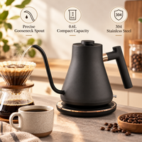 0.6L Gooseneck Electric Kettle - product image