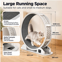 Pet Exercise Running Wheel with Distance Display (PBJ010) - product image 4