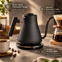 0.6L Gooseneck Electric Kettle - product image